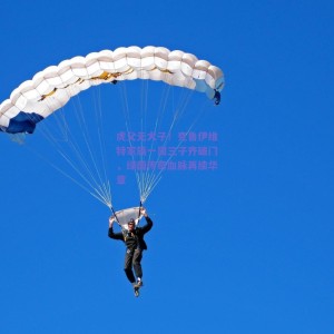 pg模拟器网址-虎父无犬子！克鲁伊维特家族一周三子齐破门，绿茵传奇血脉再续华章