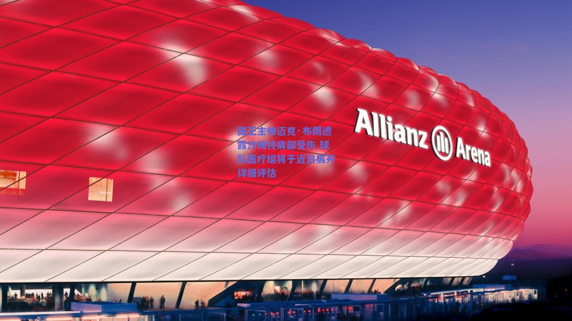 国王主帅迈克·布朗透露沙梅特肩部受伤 球队医疗组将于近日展开详细评估